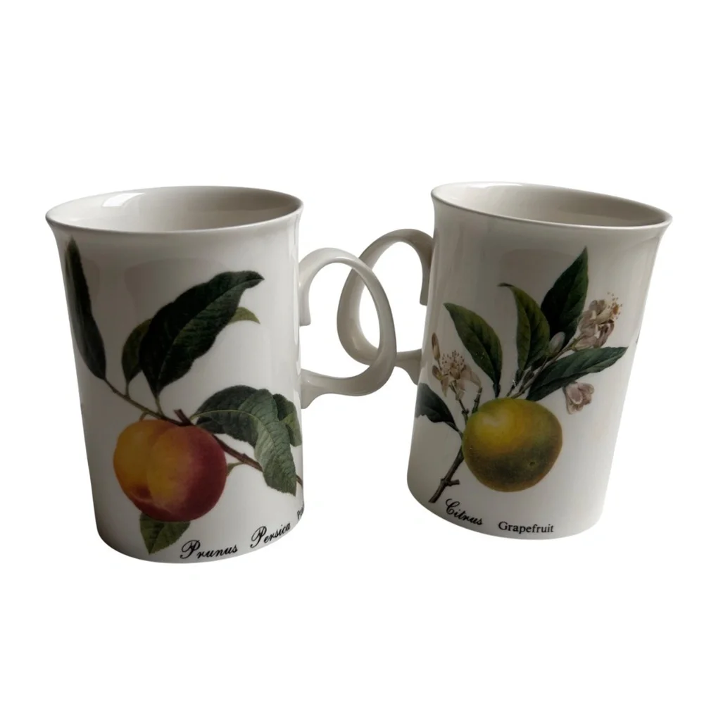 Set of 6 Dunoon Fruit Blenheim Mugs Bone China England
